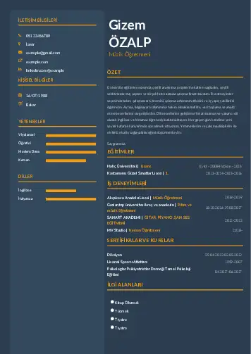 Müzik Öğretmeni Cv Örnekleri cv indir